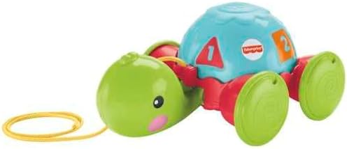 F-P Tortuga de Aprendizaje de Halar 12-36 m