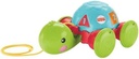 F-P Tortuga de Aprendizaje de Halar 12-36 m