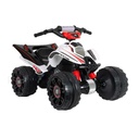 Cuadraciclo Injusa Mercedes-Benz 12v 2a+ 30KG Max