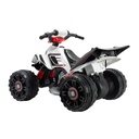 Cuadraciclo Injusa Mercedes-Benz 12v 2a+ 30KG Max