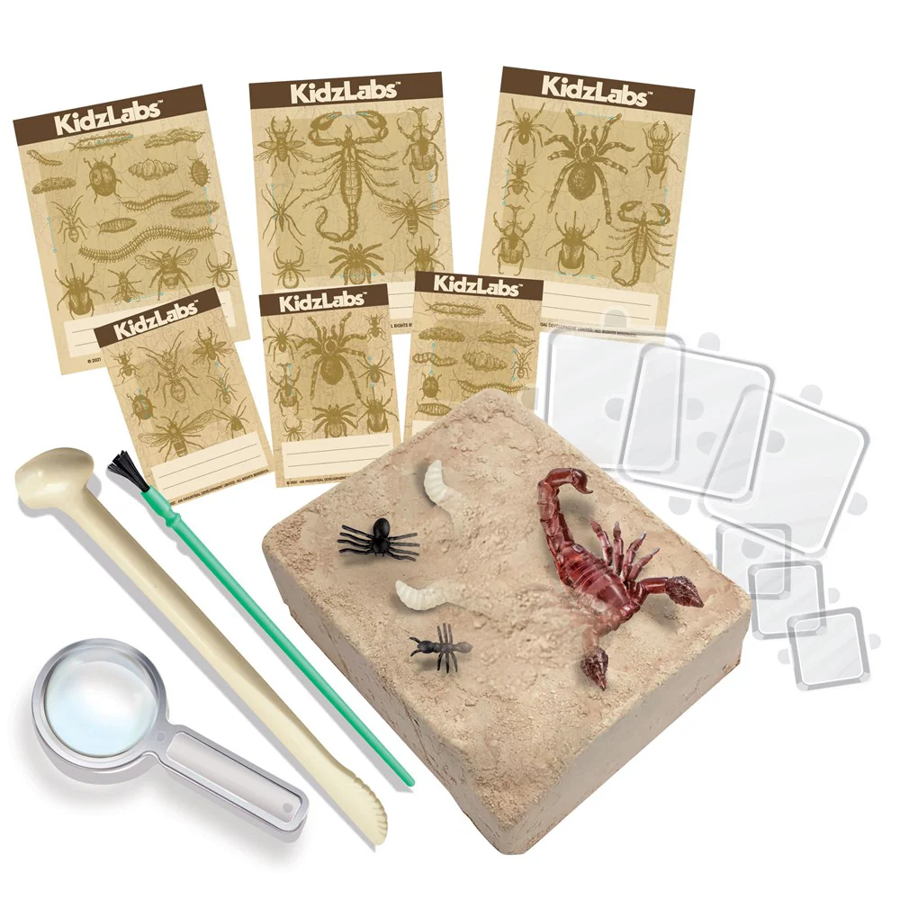 Kidz Labs Kit de Excavación de Insectos 5a+