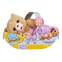 Little Live Pets Cozy Dozys Cachorros de Oso 4a+