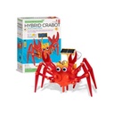 Green Science Cangrejo Híbrido Solar 5a+