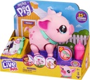 Mi Pequeño Cerdito Little Live Pets 4a+