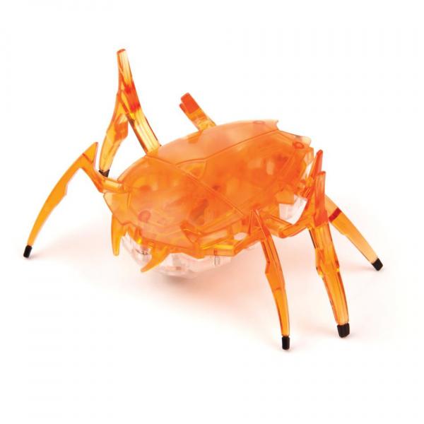 Insecto Escarabajo Surt/2