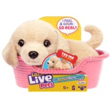 Little Live Pets Cachorro con Cama y 20 Sonidos Surt/2 5a+