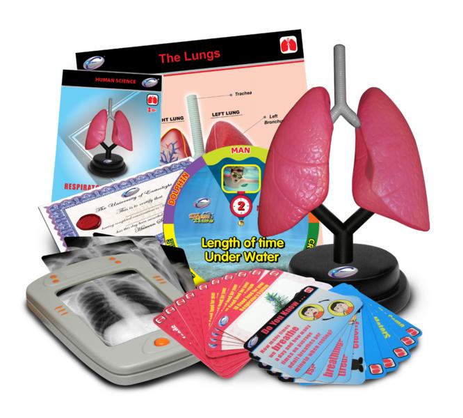 Juego Sistema Respiratorio de Lujo 8a+